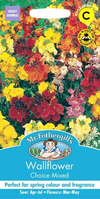 WALLFLOWER CHOICE MIXED
