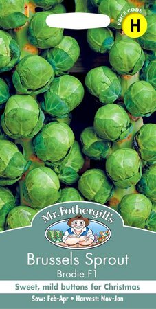 BRUSSELS SPROUT BRODIE F1