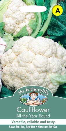 CAULIFLOWER ALL THE YEAR ROUND