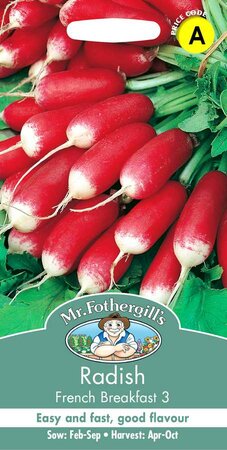 RADISH FRENCH BREAKFAST 3