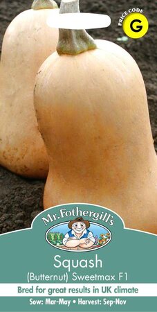SQUASH (BUTTERNUT) SWEETMAX F1