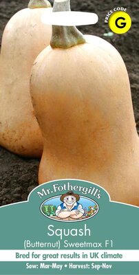 SQUASH (BUTTERNUT) SWEETMAX F1