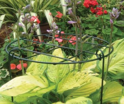 ALL ROUND SUPPORT FRAMES 30CM x 46CM - image 2