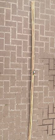 6 GARDEN CANES - 240CM - image 2