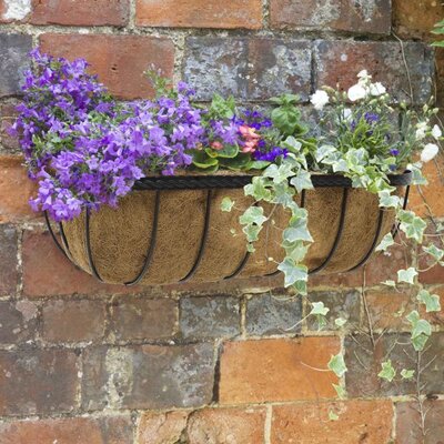 24IN SAXON WALL TROUGH - image 1