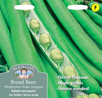 BROAD BEAN MASTERPIECE GREEN