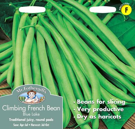 CLIMBING FRENCH BEAN BLUE LAKE