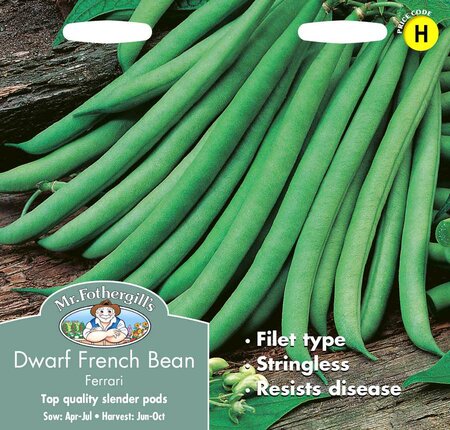 DWARF FRENCH BEAN FERRARI