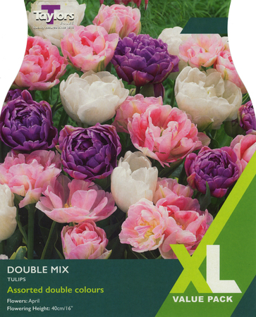 TULIP DOUBLE MIX